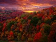 fall landscape