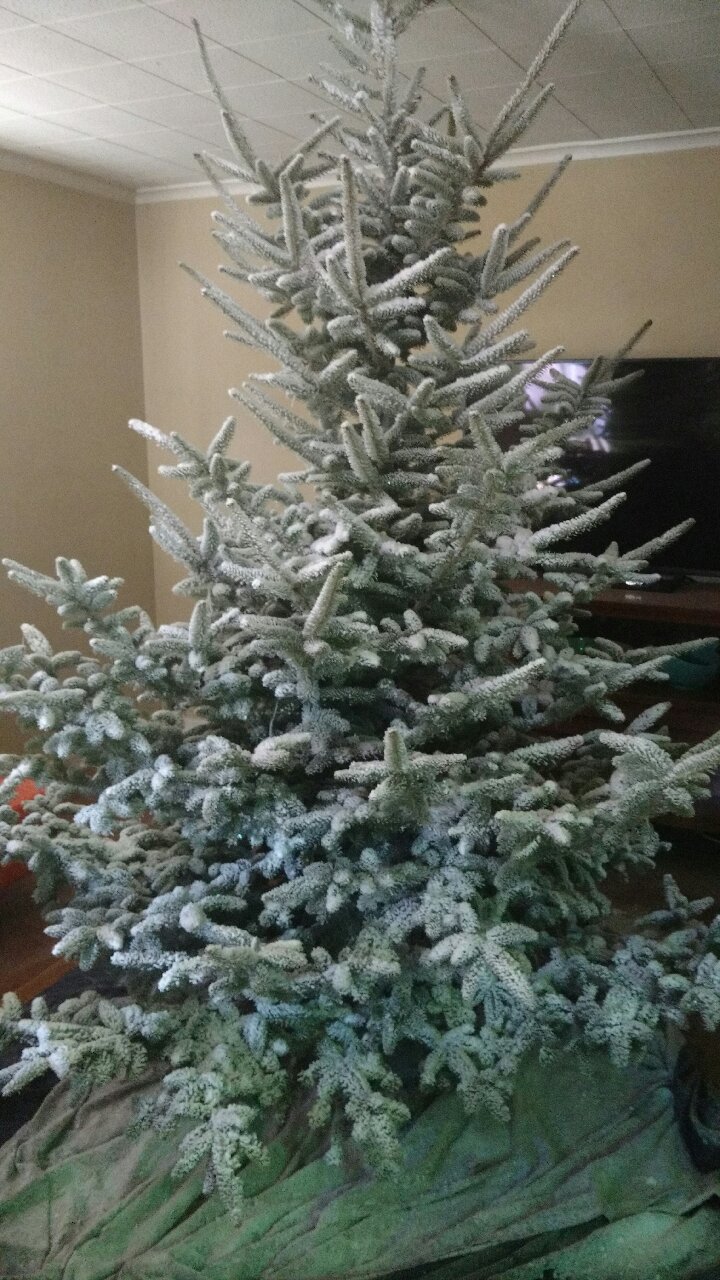 Can I flock a real tree?
